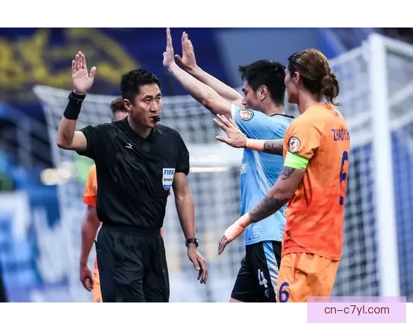 VAR风波厘米之差还是非误判