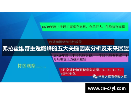 弗拉霍维奇重返巅峰的五大关键因素分析及未来展望