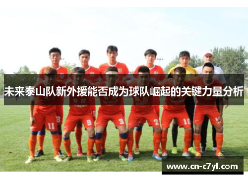 未来泰山队新外援能否成为球队崛起的关键力量分析