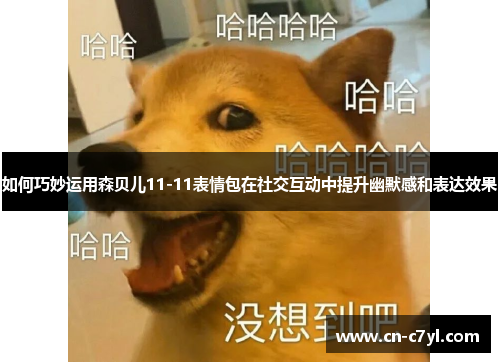 如何巧妙运用森贝儿11-11表情包在社交互动中提升幽默感和表达效果