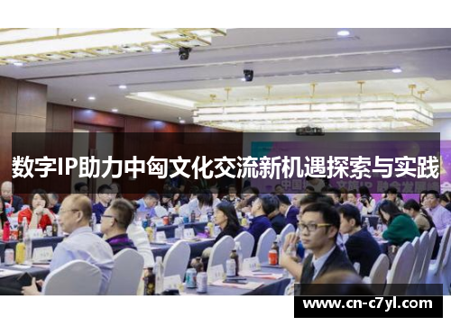 数字IP助力中匈文化交流新机遇探索与实践