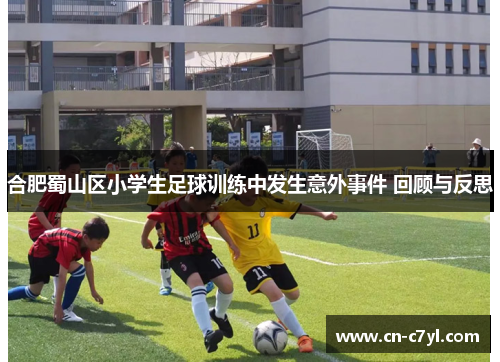 合肥蜀山区小学生足球训练中发生意外事件 回顾与反思
