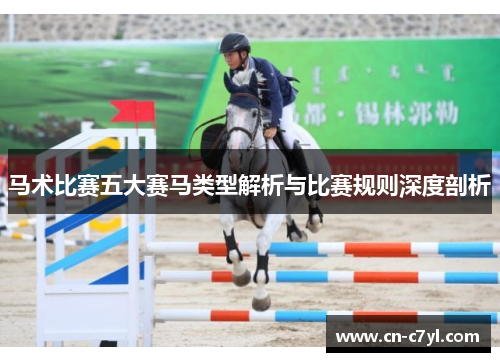 马术比赛五大赛马类型解析与比赛规则深度剖析